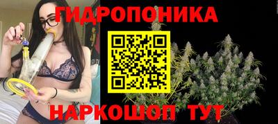 метадон Донской