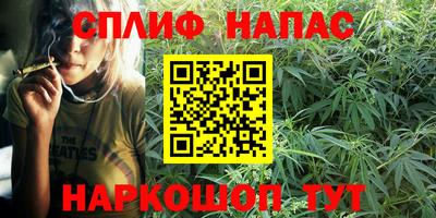 прущие грибы Беслан