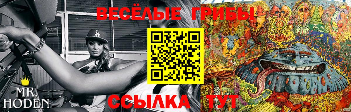 Псилоцибиновые грибы мицелий  Вход с VPN  Вологда  Псилоцибиновые грибы мухоморы 
