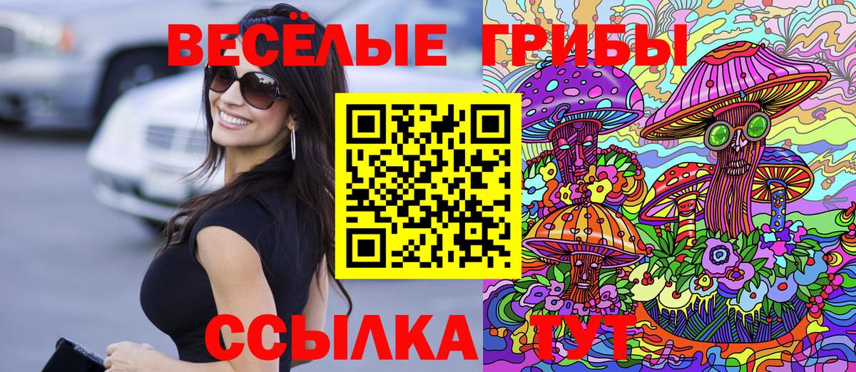 Псилоцибиновые грибы Cubensis Вологда